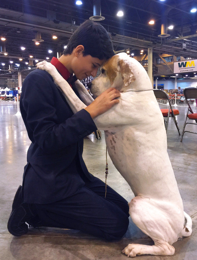 Westminster Dog Show Young Handlers